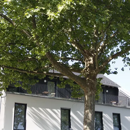 Prime 20 Serviced 3*