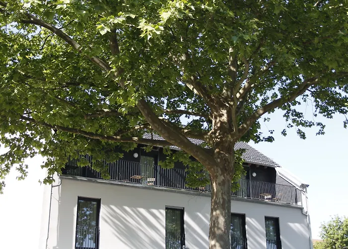 Prime 20 Serviced 3*